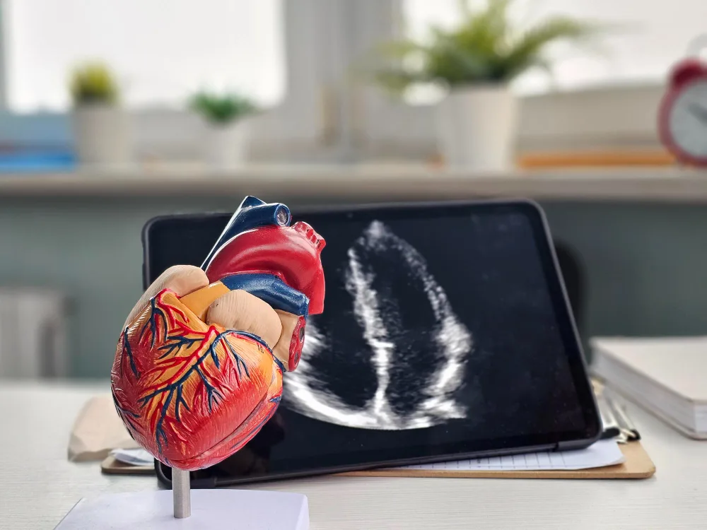 Electrocardiograma de 12 derivaciones en Querétaro: Evaluación eléctrica del corazón